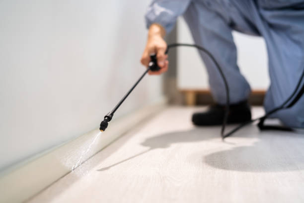 Licensed Rodent Control service in Pasco County County, FL - Nex Pest Control